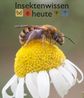 Halictus scabiosae Foto: Olaf Diestelhorst